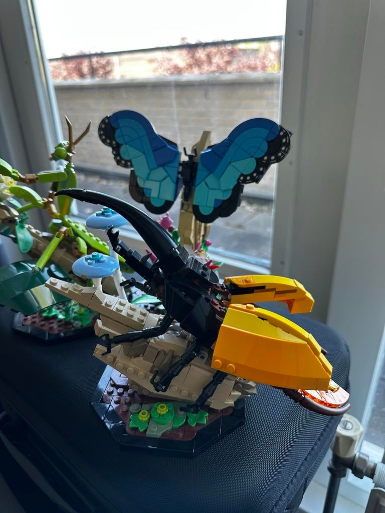 Lego Ideas De Insectenverzameling 21342, Kinderen en Baby's, Speelgoed | Duplo en Lego, Zo goed als nieuw, Lego, Complete set