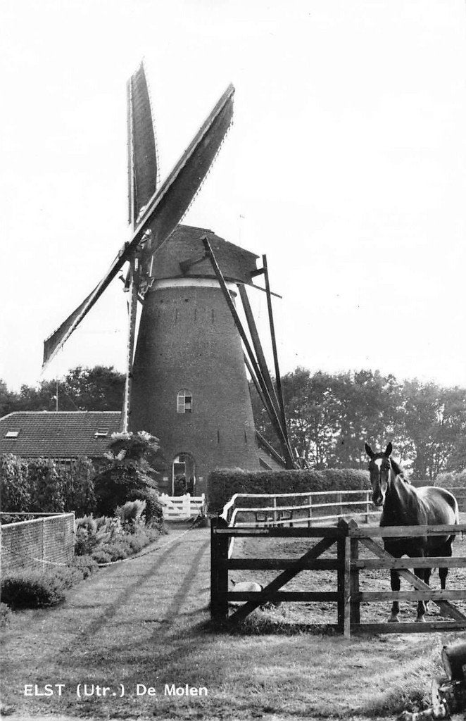 564 Elst - Molen, Ophalen of Verzenden, 1940 tot 1960, Ongelopen, Utrecht