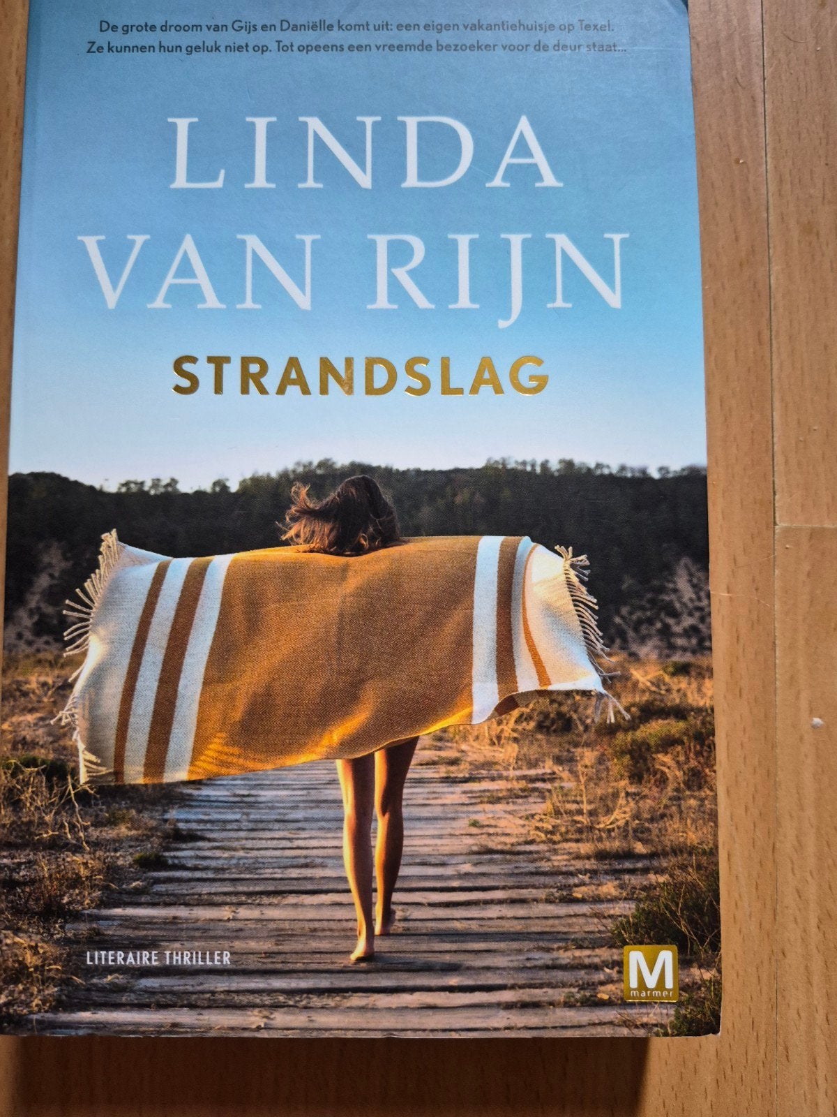 Linda van Rijn - Strandslag, Ophalen of Verzenden, Zo goed als nieuw, Linda van Rijn