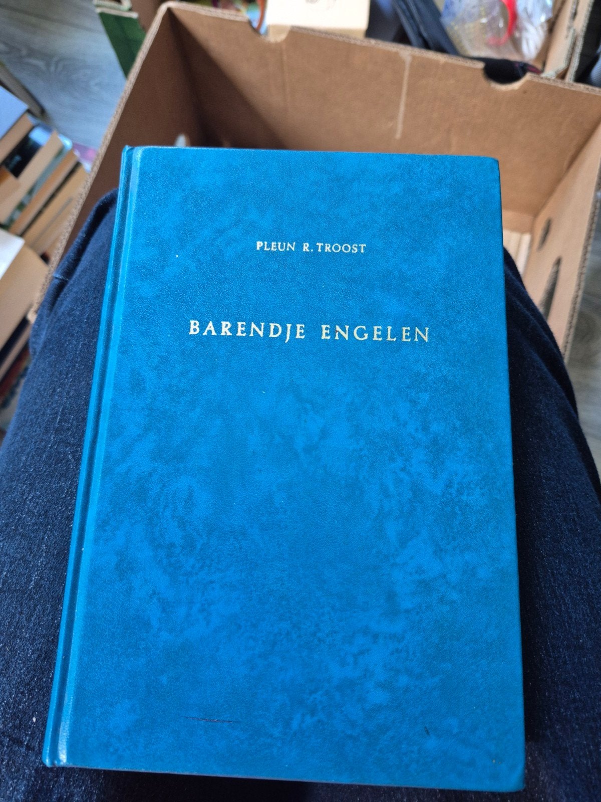Barendje Engelen - Pleun R. Troost (1974), Ophalen of Verzenden, Gelezen, Pleun R. Troost, Nederland