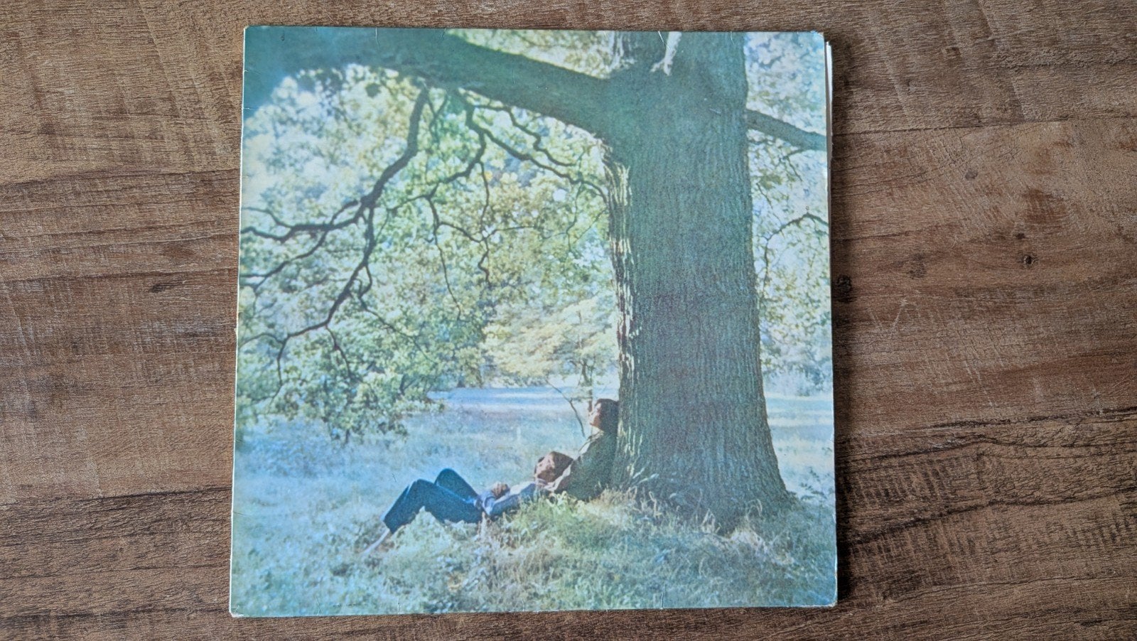 John Lennon//Plastic Ono Band, Cd's en Dvd's, LP, Rock, Gebruikt, Ophalen of Verzenden