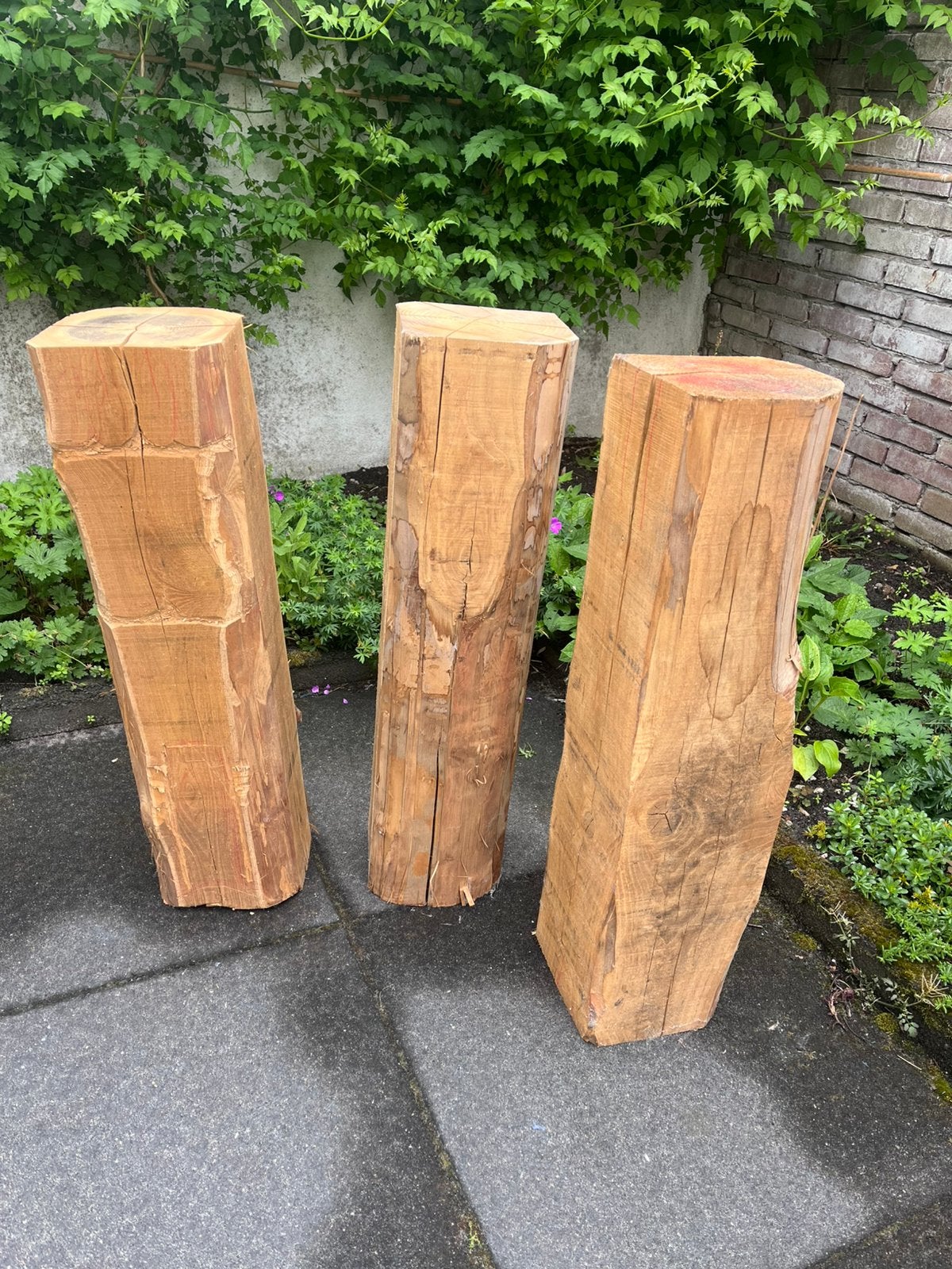 3 x Tamme Kastanje, Ophalen, Minder dan 25 mm, Zo goed als nieuw, Pallet