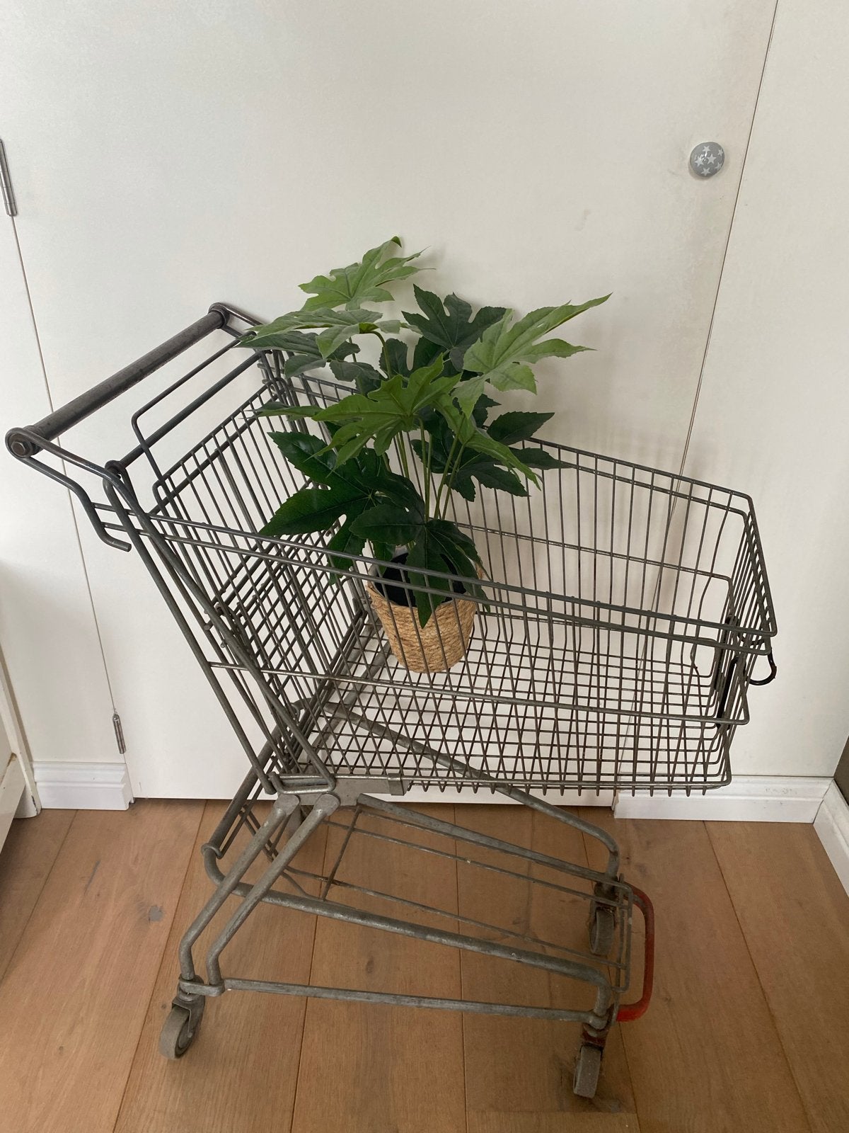 Vintage Winkelwagen uit de jaren '50 - Uniek Decoratiestuk, Ophalen