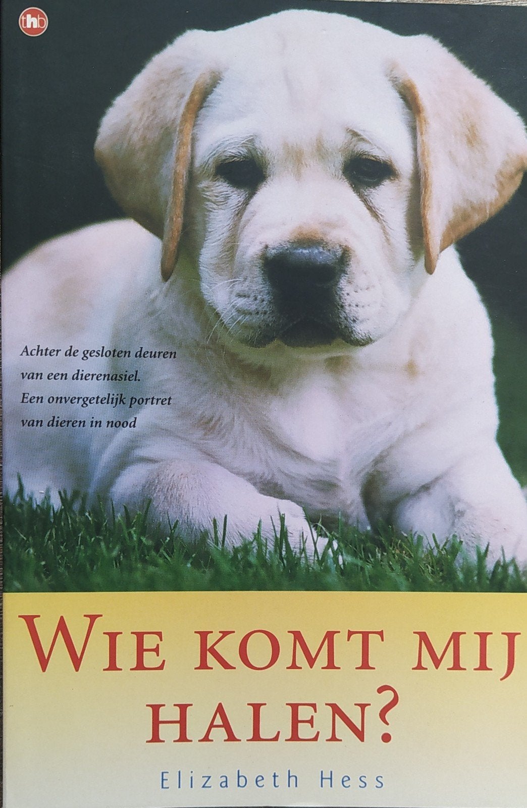Wie Komt Mij Halen? - Elizabeth Hess (Dierenasiel), Ophalen of Verzenden, Zo goed als nieuw, Honden, Elizabeth Hess