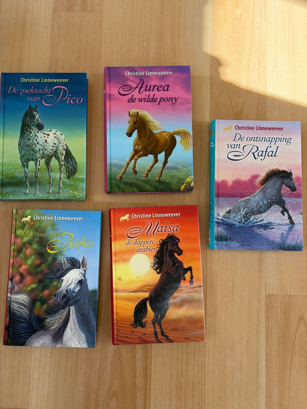 5x Christine Linneweever paardenboeken, Boeken, Ophalen of Verzenden, Gelezen, Fictie