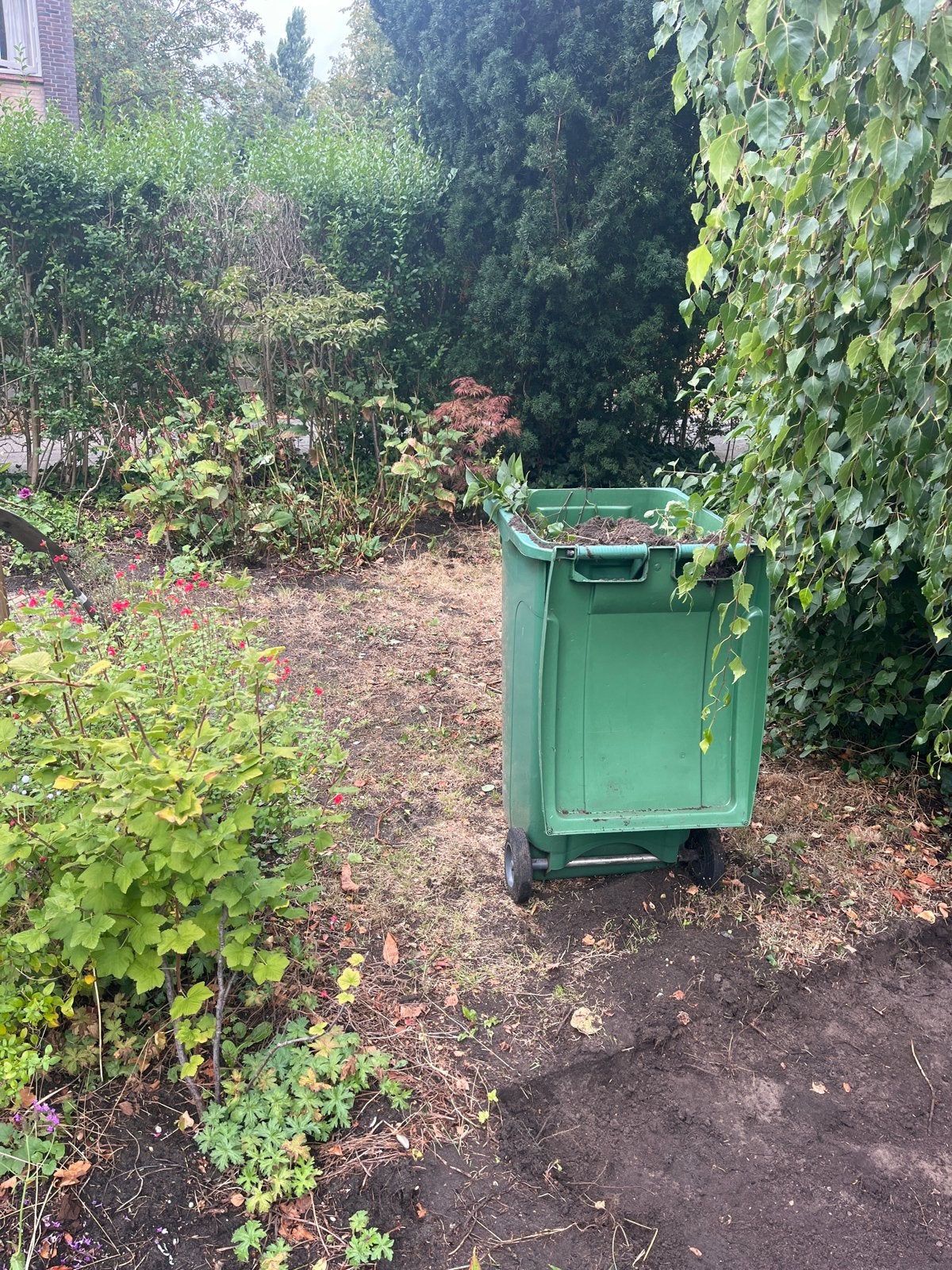 Afsteken laagje grond, Ophalen of Verzenden
