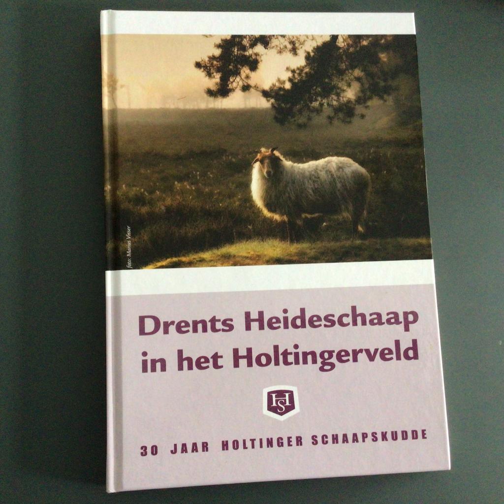 Drents Heideschaap in het Holtingerveld, Ophalen of Verzenden, Zo goed als nieuw