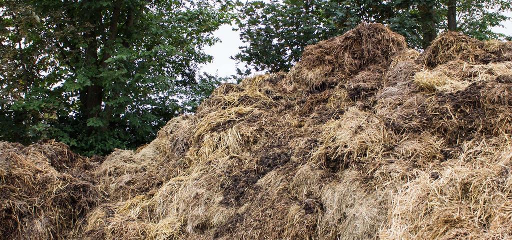 mest voor uw tuin - je krijgt er geld voor als je ophaalt, Ophalen of Verzenden, Mest
