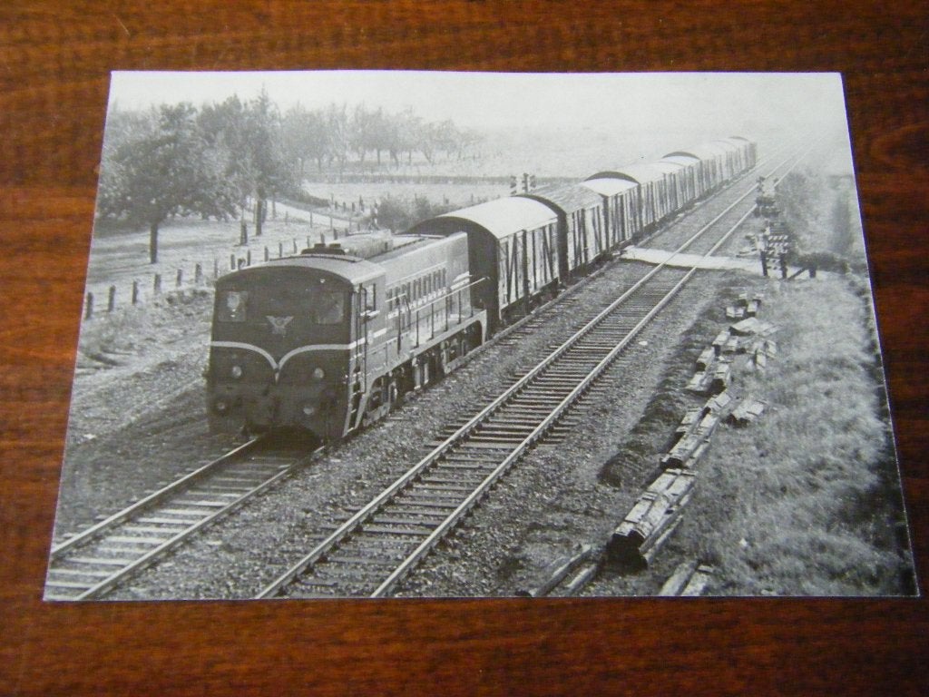 F42 - NS - Trein - Locomotief - Mooi/Oud 7, Ophalen of Verzenden, Trein, Overige typen