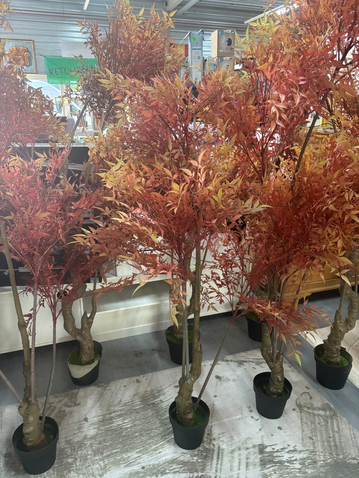 Grote kunst planten 140 tot 200 cm nieuw, Ophalen, Nieuw, Nb, Nb