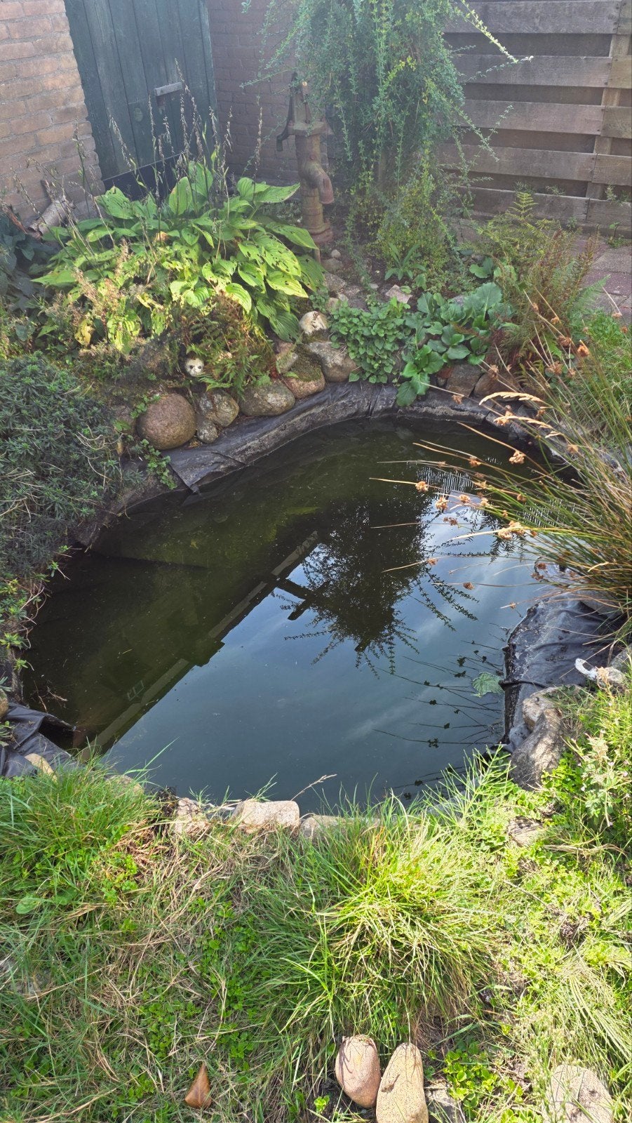 vijver pond, Ophalen, Gebruikt