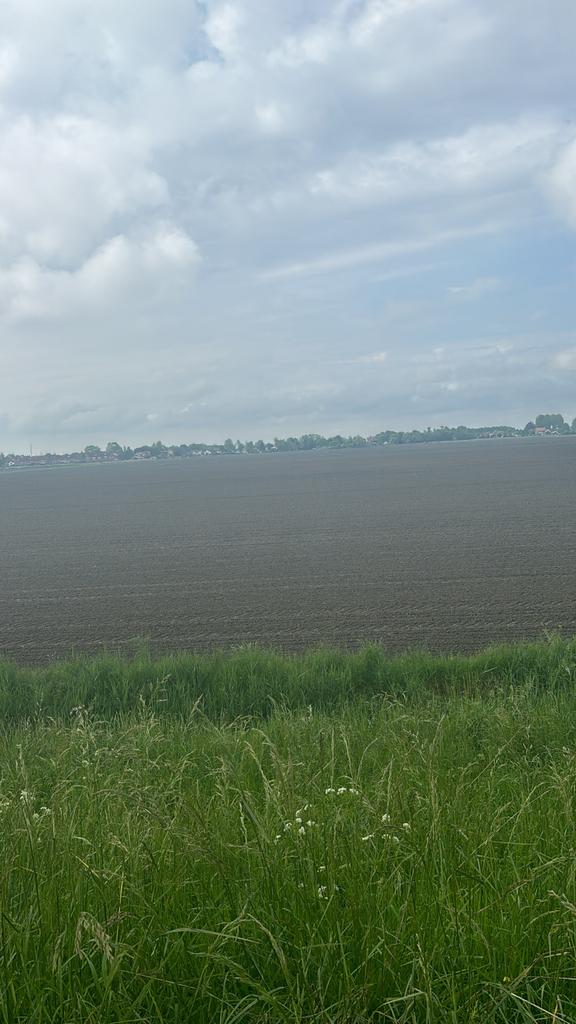 Gezocht, Ophalen of Verzenden