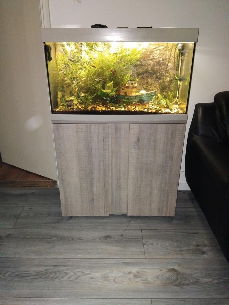Te koop compleet goed draaid aquarium, Dieren en Toebehoren, Vissen | Aquaria en Toebehoren, Ophalen of Verzenden, Zo goed als nieuw