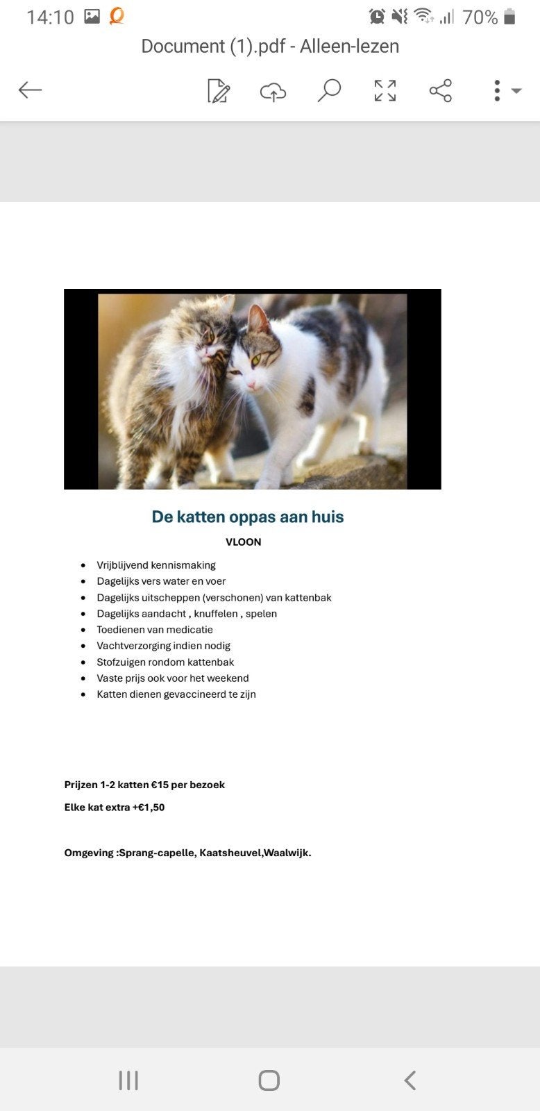 katten oppas aan huis alles is bespreekbaar!, Ophalen of Verzenden