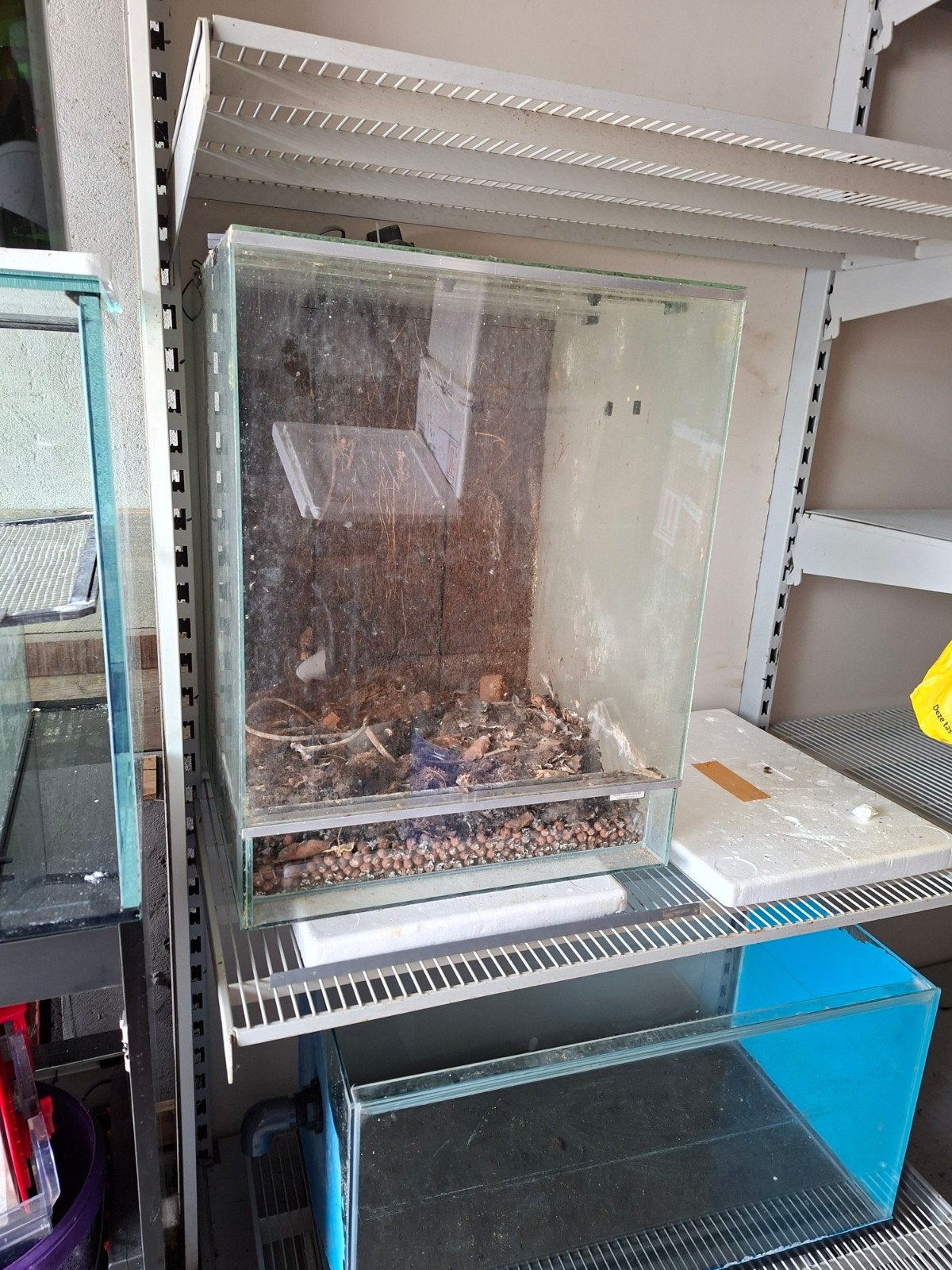Rana Terrarium 50x45x65 (LxBxH), Dieren en Toebehoren, Reptielen en Amfibieën | Toebehoren, Gebruikt, Ophalen of Verzenden