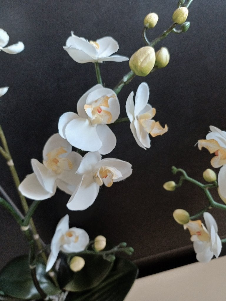2 MOOIE ORCHIDEE IN POT ZWART, Binnen, 70 cm, Kunstbloem, Zijde