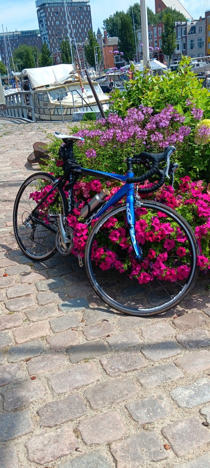 Koga Flyer 54 racefiets met accessoires, Ophalen, Gebruikt, Aluminium, Koga Miyata