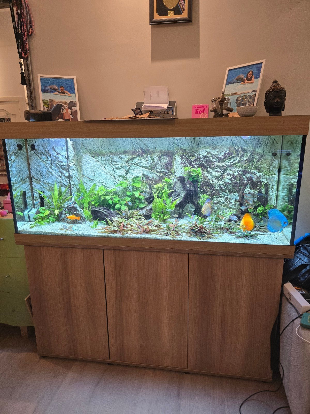 juwel 450, Dieren en Toebehoren, Vissen | Aquaria en Toebehoren, Ophalen, Zo goed als nieuw, Gevuld zoetwateraquarium, Juwel