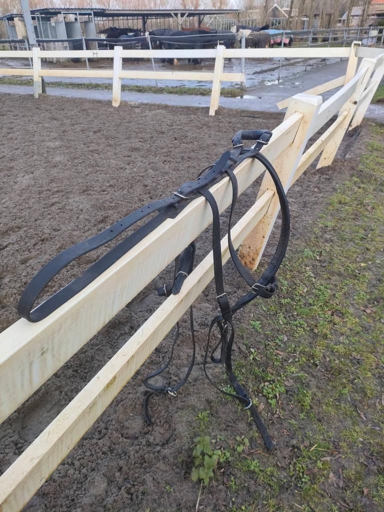 Ideal broek maat full ruim verstelbaar, Dieren en Toebehoren, Ophalen of Verzenden, Gebruikt, Overige soorten