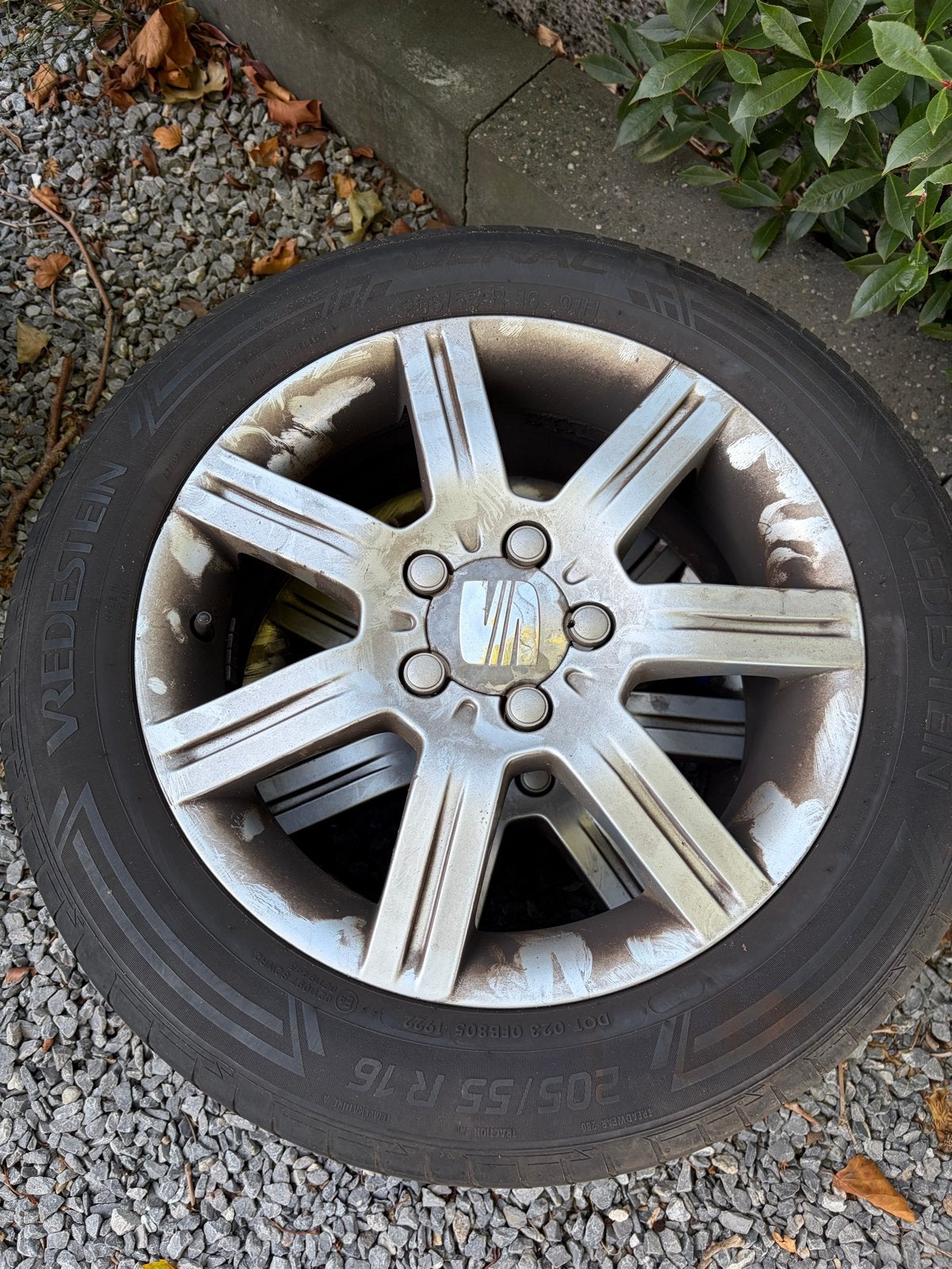 Seat Leon (2006) velgen met zomerbanden 205/55 R16, Ophalen, Gebruikt, 16 inch, Banden en Velgen