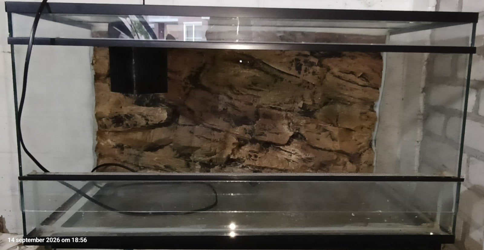 Terrarium, Ophalen, Gebruikt, Terrarium of Paludarium