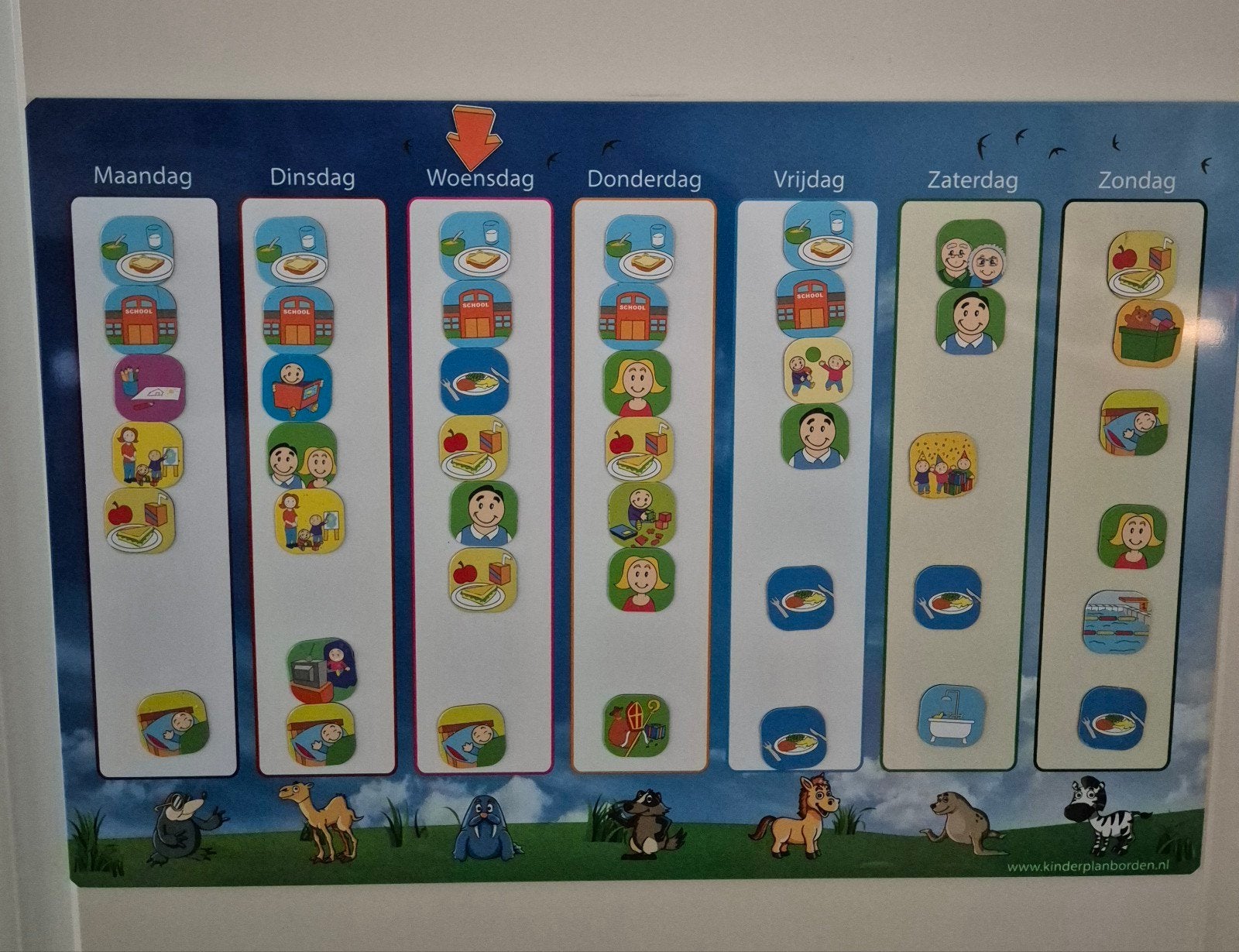 Handig planbord met magneten voor kinderen, Diversen, Schoolborden, Ophalen