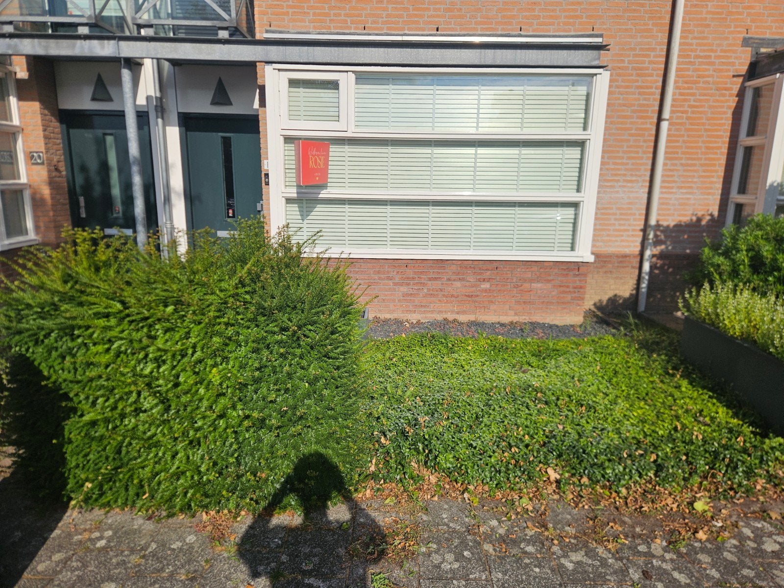 Gratis! Tuin moet eruit, Tuin en Terras, Ophalen, Gebruikt, 20 m² of meer
