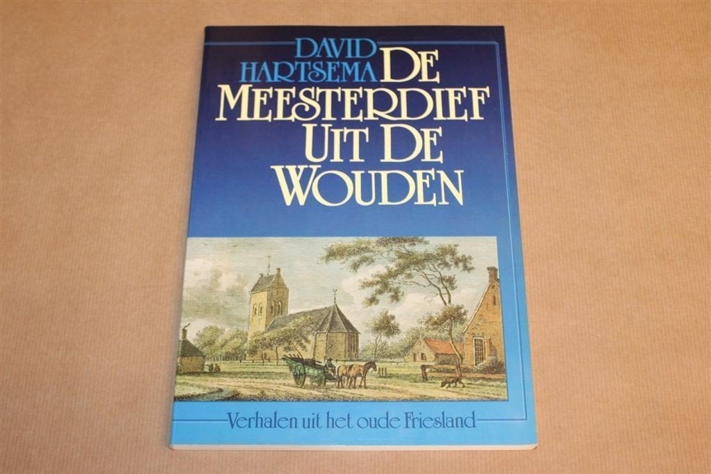 De Meesterdief uit de Wouden — Friese Historische Verhalen, Boeken, Ophalen of Verzenden, Zo goed als nieuw