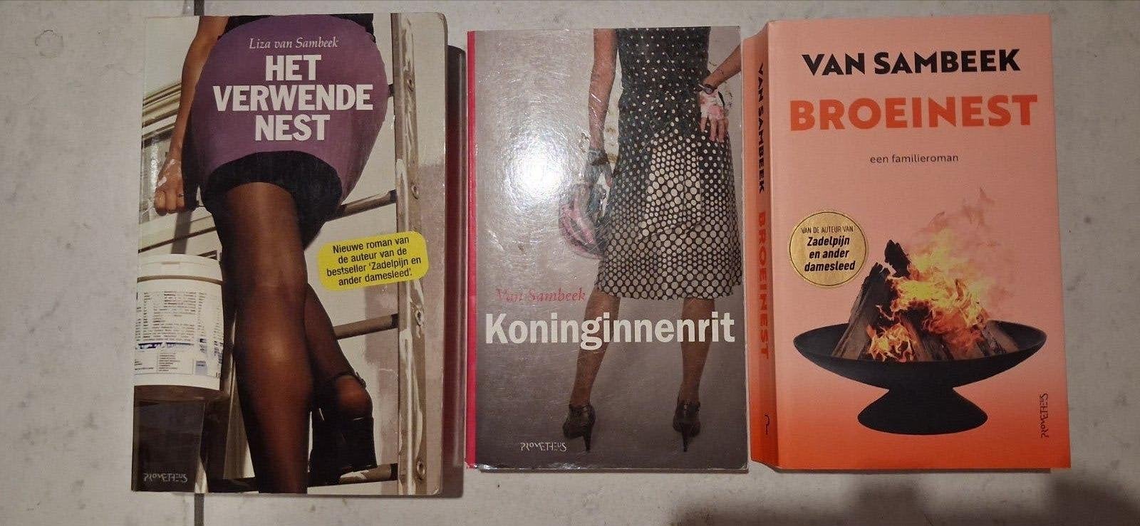3 romans van L. van Sambeek: samen 4.-, Ophalen of Verzenden, Gelezen, Liza van Sambeek, Nederland