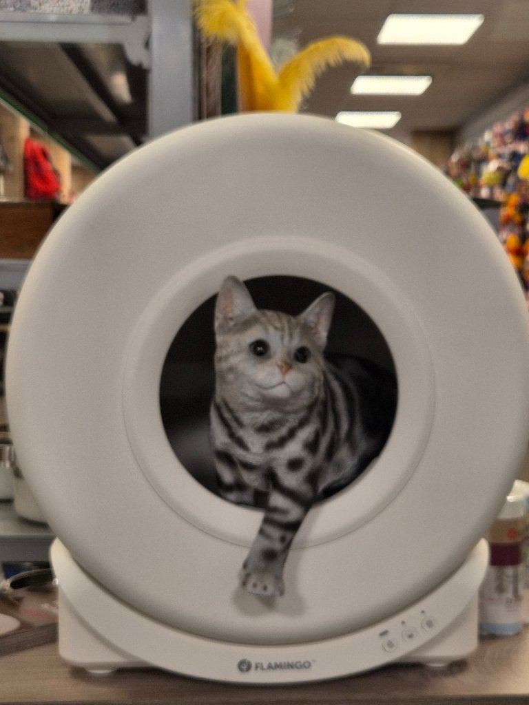 Zelfreinigende Kattenbak van €349,- voor €295,-, Ophalen, Zelfreinigend, Nieuw, Open