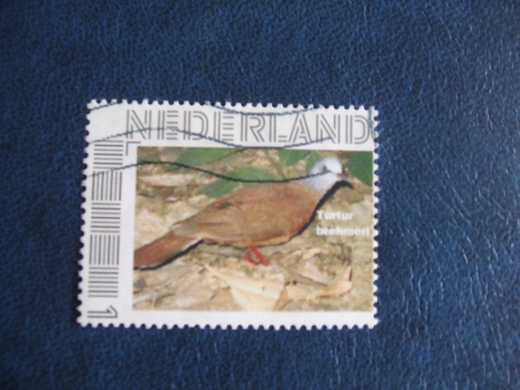 Nederland duif, Ophalen of Verzenden, Na 1940, Gestempeld
