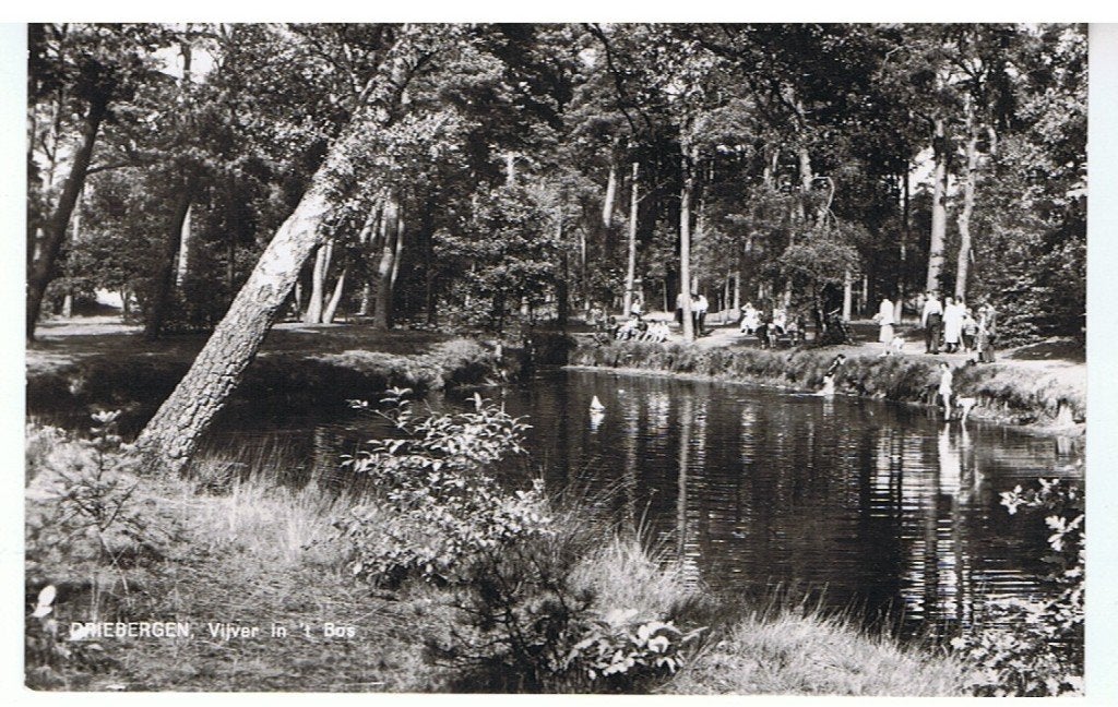 Ansichtkaarten Driebergen, Ophalen of Verzenden, 1980 tot heden, Ongelopen, Utrecht