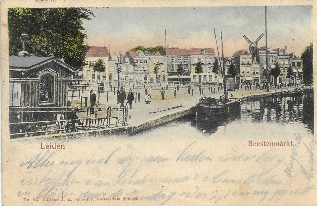 Leiden, Beestenmarkt, Verzenden, Voor 1920, Gelopen, Zuid-Holland