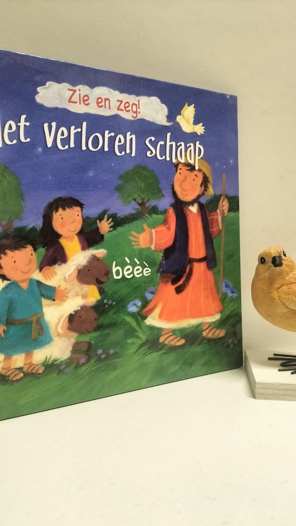 Goodings, Christina; Zie en zeg!  Het verloren schaap, Boeken, Godsdienst en Theologie, Gelezen, Christendom | Protestants, Ophalen of Verzenden