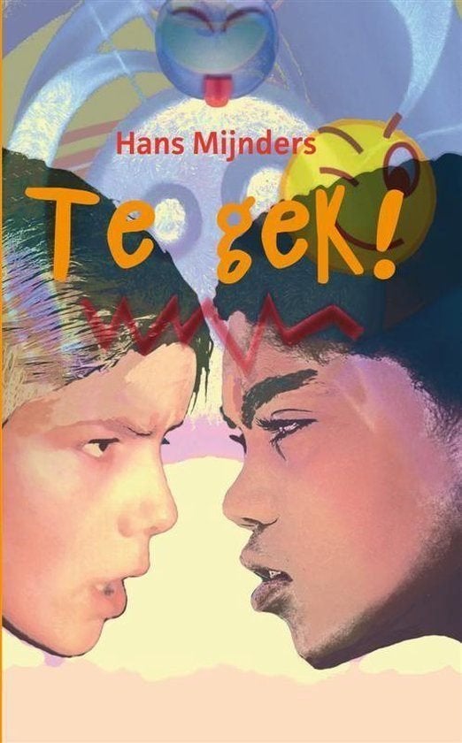 Te Gek  Hans Mijnders 9789085430483, Ophalen of Verzenden, Zo goed als nieuw, Hans Mijnders