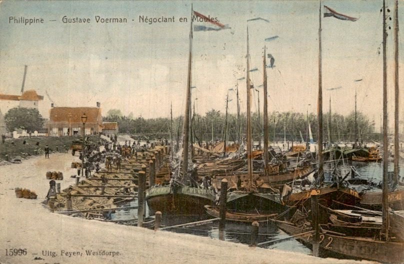 Philippine - G.Voerman - Handelaar in vis - 1911 - Terneuzen, Ophalen of Verzenden, Voor 1920, Gelopen, Zeeland
