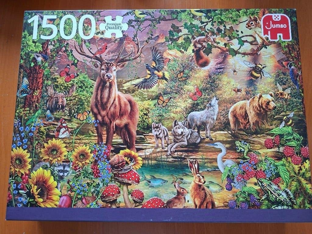 Legpuzzels, Ophalen, 500 t/m 1500 stukjes, Zo goed als nieuw, Legpuzzel