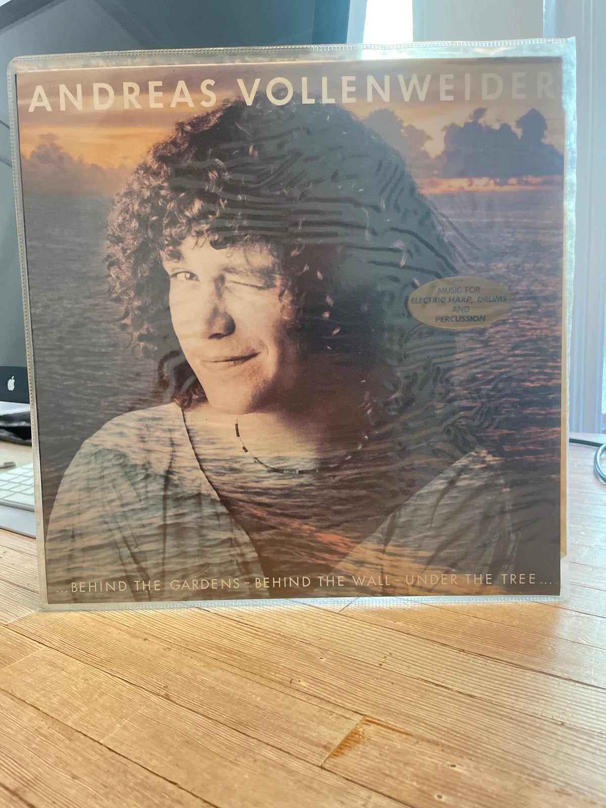 Andreas Vollenweider - Behind the Gardens LP, LP, Gebruikt, Overige genres, Ophalen of Verzenden