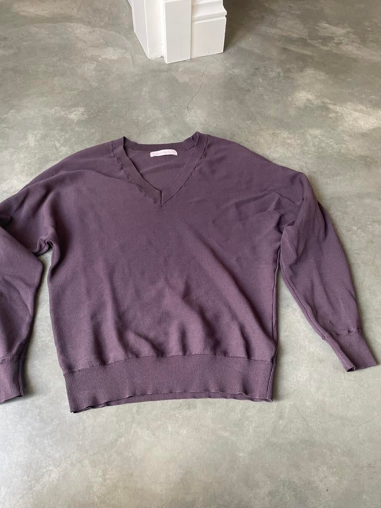 Studio Anneloes V-hals truitje XS bruin, Ophalen of Verzenden, Zo goed als nieuw, Maat 34 (XS) of kleiner, Bruin