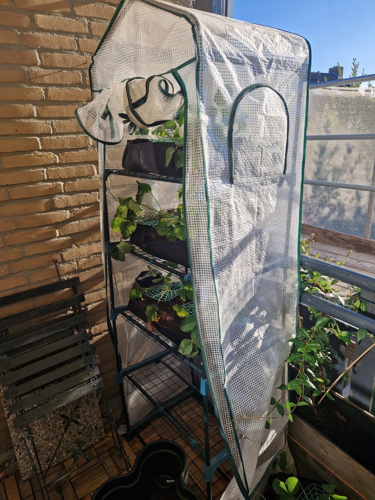 Kweekkas met licht verbogen frame, Ophalen of Verzenden