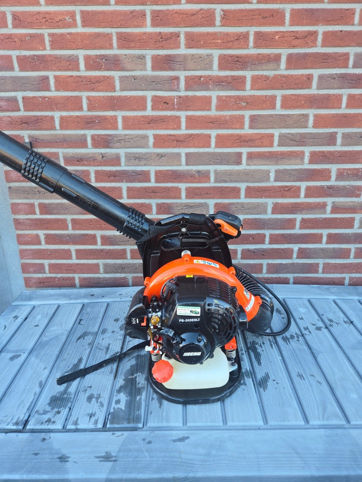 Ruggedragen bladblazer Echo, Ophalen, Benzine