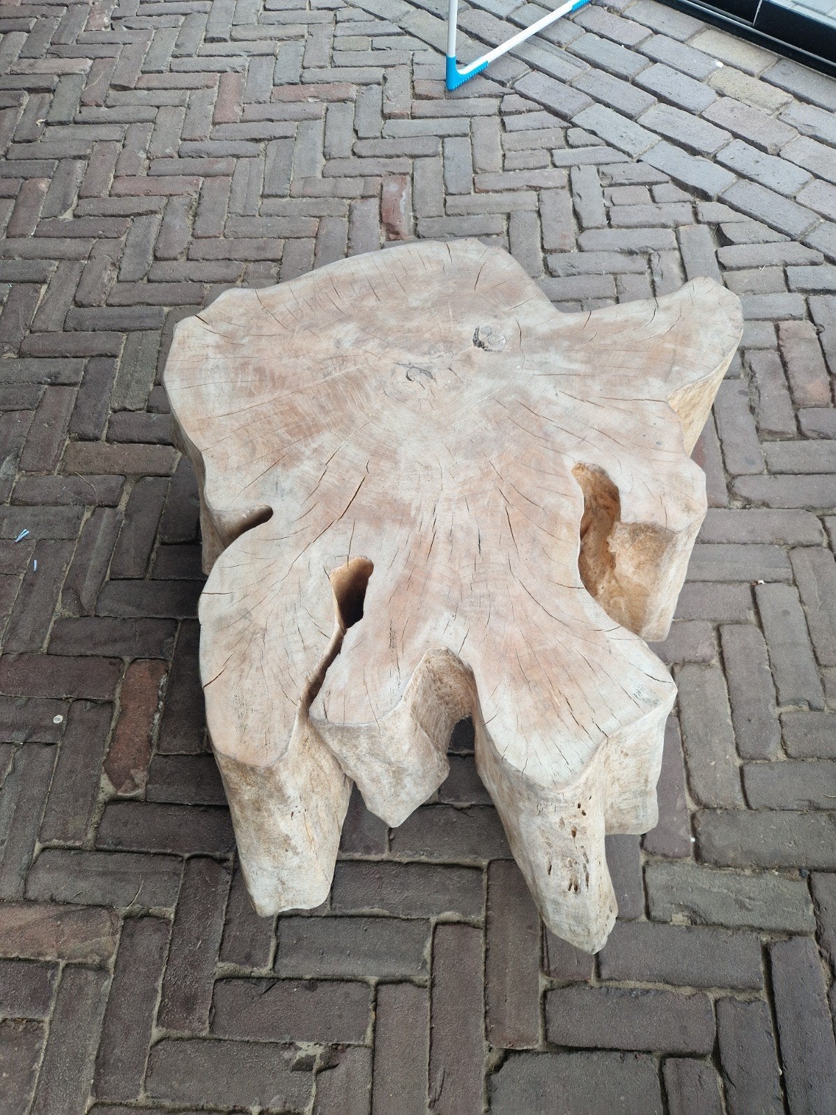 Mooie populieren tafel, Ophalen
