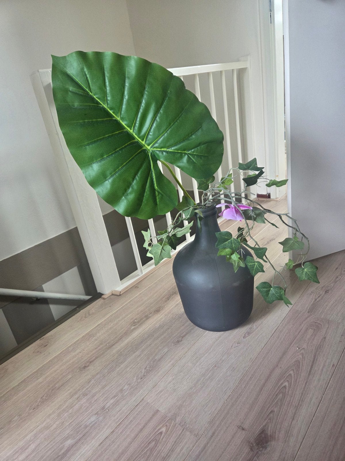 Grote zwarte vaas, Huis en Inrichting, Kamerplanten, Ophalen, Halfschaduw, Minder dan 100 cm