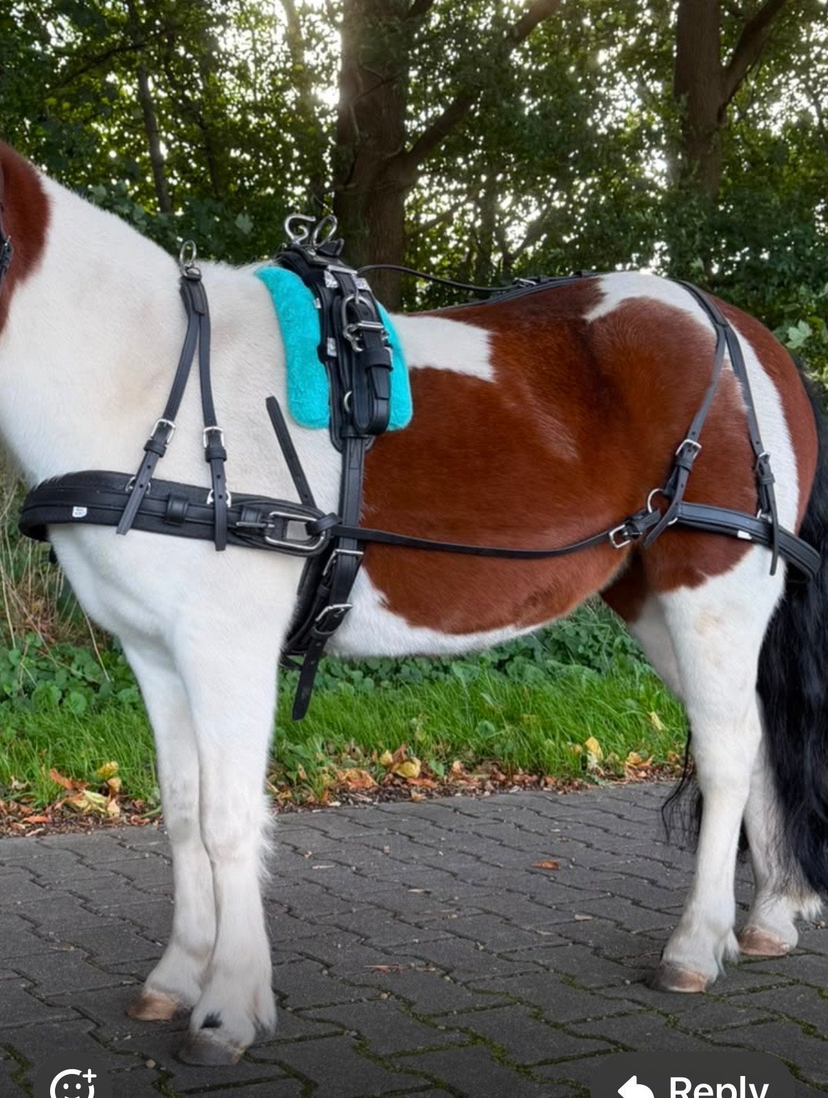 Tjeu van de Meulengraaf biotaan tuig mini shet, Ophalen of Verzenden, Zo goed als nieuw
