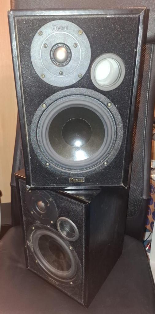 Magnat Vector 2 Speakers - Werkend, opknapper, Ophalen, Gebruikt, 60 tot 120 watt, Magnat