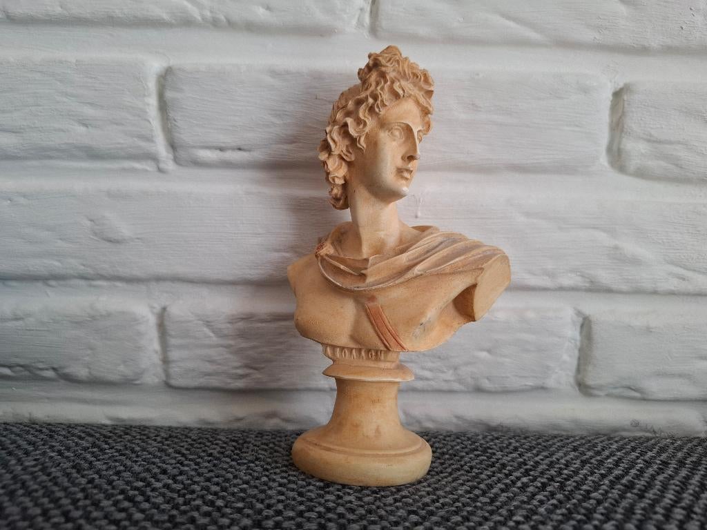Apollo van Belvedère bust beeld, Ophalen of Verzenden, Zo goed als nieuw, Mens