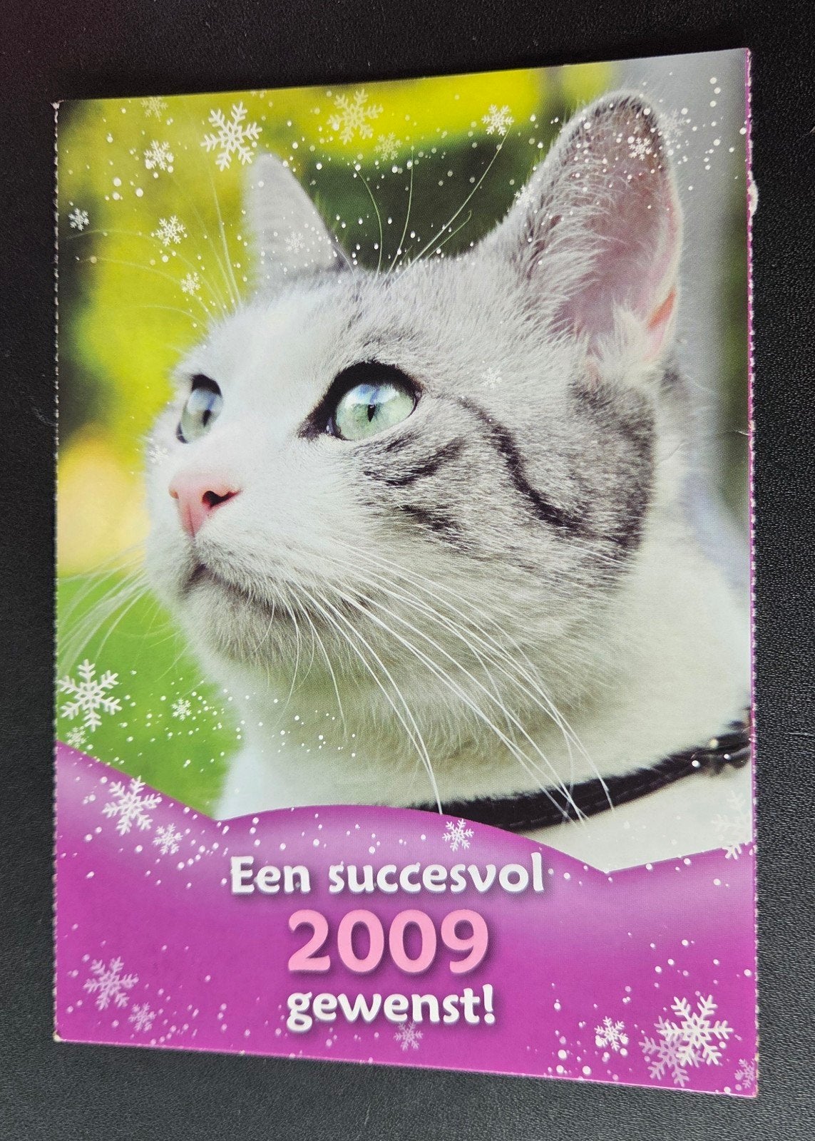 Whiskas kat - Een succesvol 2009 gewenst!, Verzamelen, Verzenden, 1980 tot heden, Ongelopen, Hond of Kat