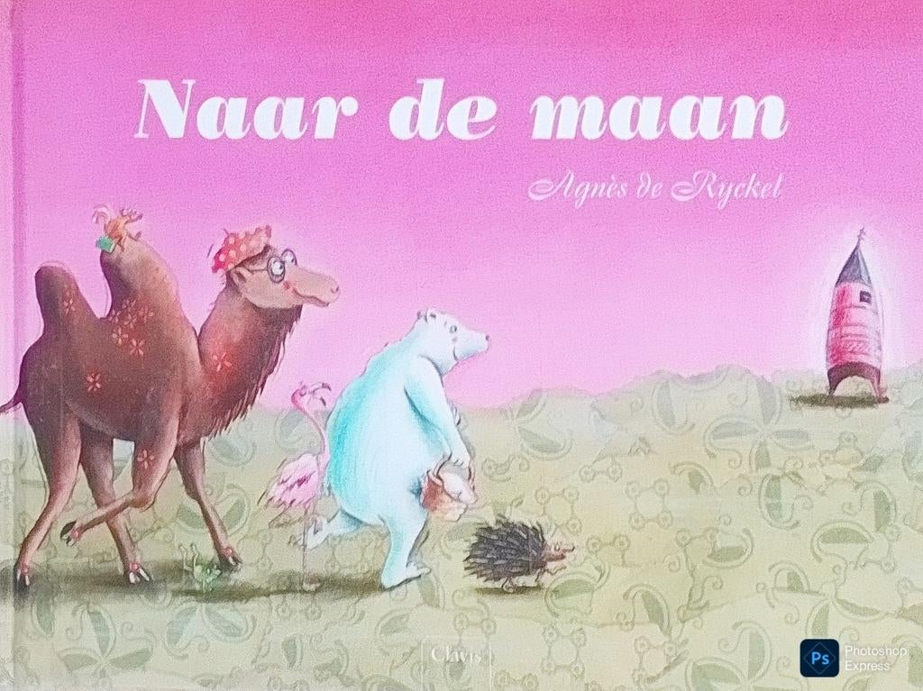 Naar De Maan, Gelezen, Fictie algemeen, Jongen of Meisje, Ophalen of Verzenden