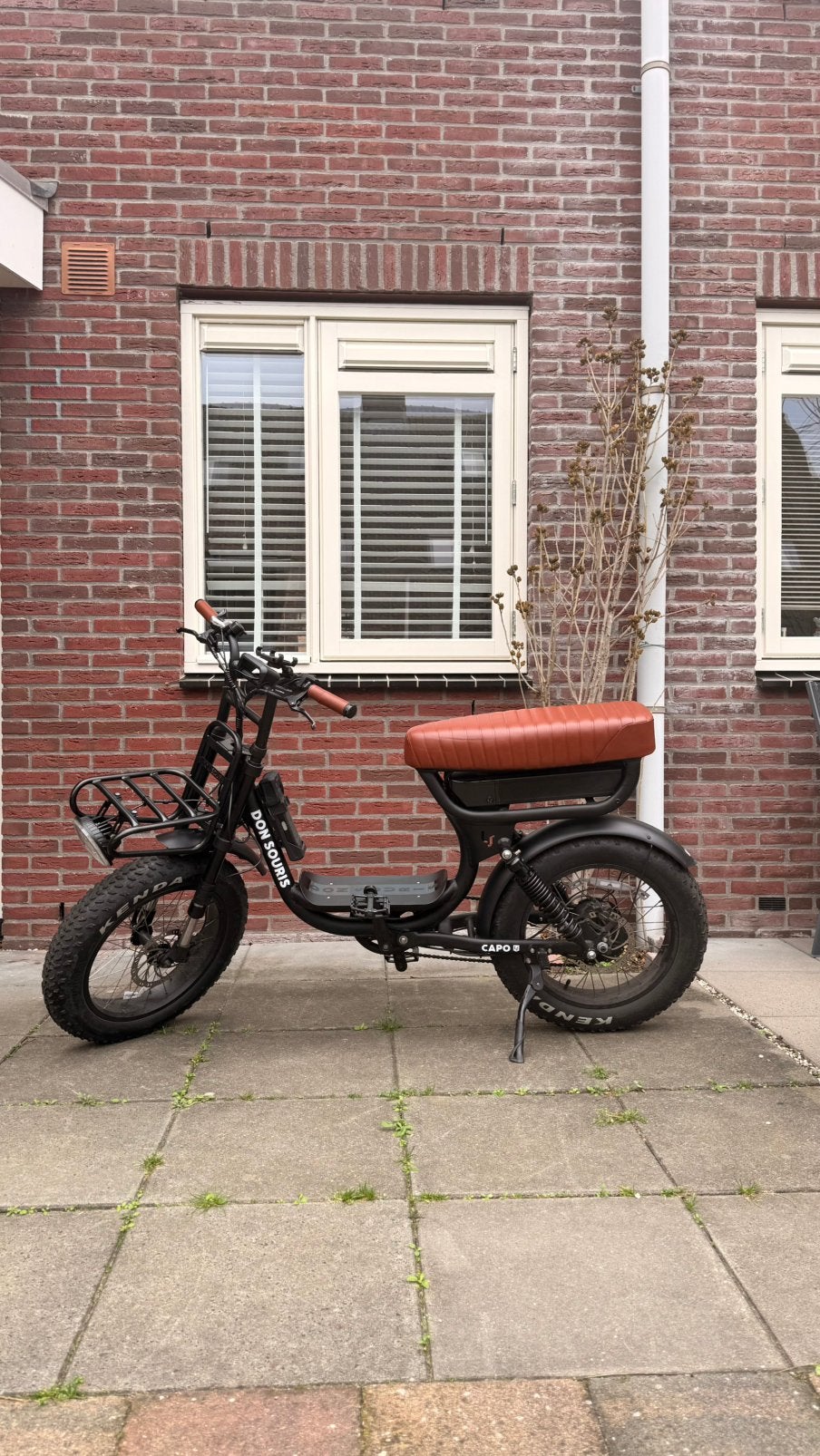 Don Souris Capo – Special Brown Edition | Zeer nette staat, 59 cm of meer, Ophalen, Zo goed als nieuw, Overige merken