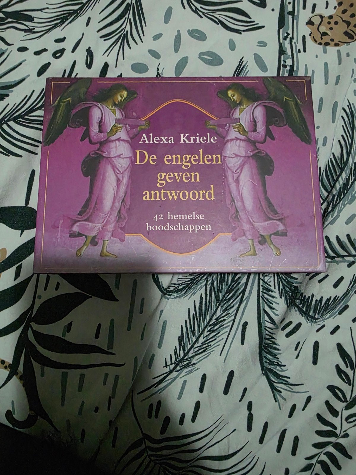 De Engelen Geven Antwoord - Alexa Kriele, Achtergrond en Informatie, Spiritualiteit algemeen, Nieuw, Ophalen of Verzenden